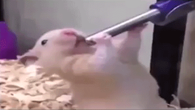 Myślę że się ...