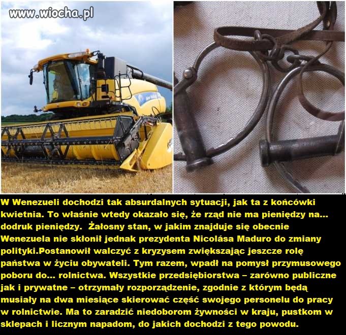 Socjalizm w praktyce.