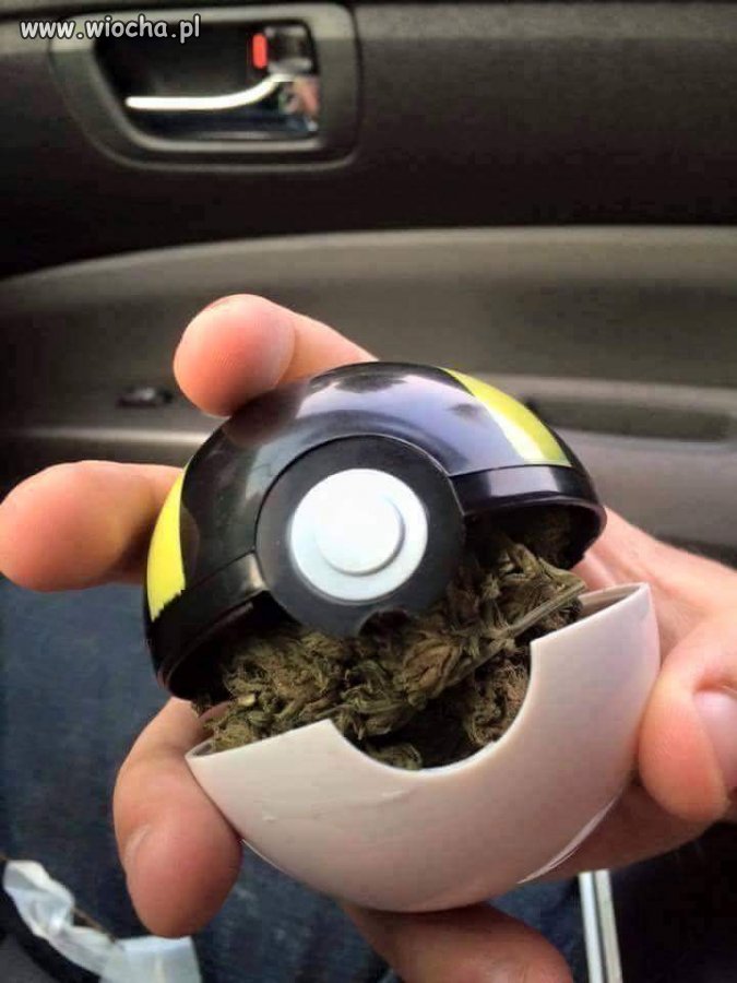 Wabik na pokemony