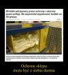 Afera za 40 groszy. 