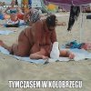 Bezwstydnicy