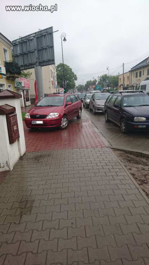 Mistrz parkowania
