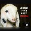 Feminizm po arabsku 