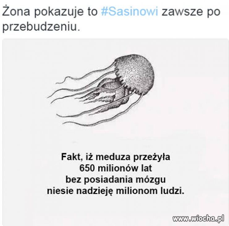 No Sasin bystrością nie grzeszy...