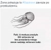 No Sasin bystrością nie grzeszy...