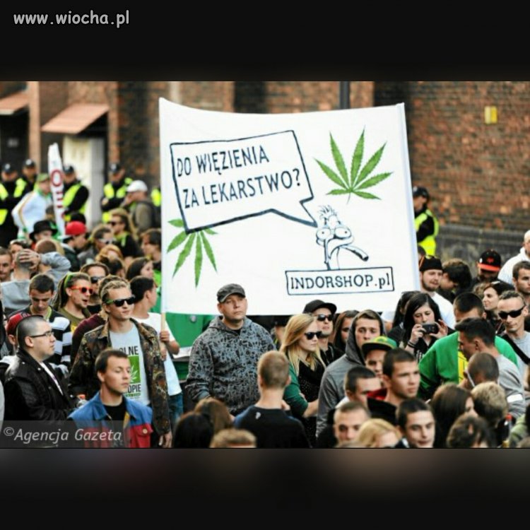 Legalizacja medycznej marihuany.