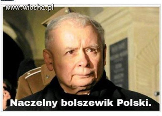 Naczelnik