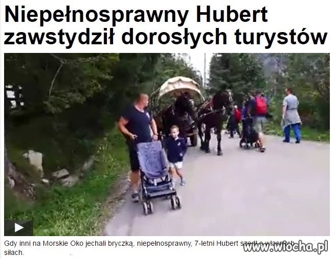 Brawo Hubert