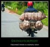 Torpedy