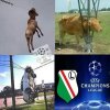 Jak oni się tam dostali?