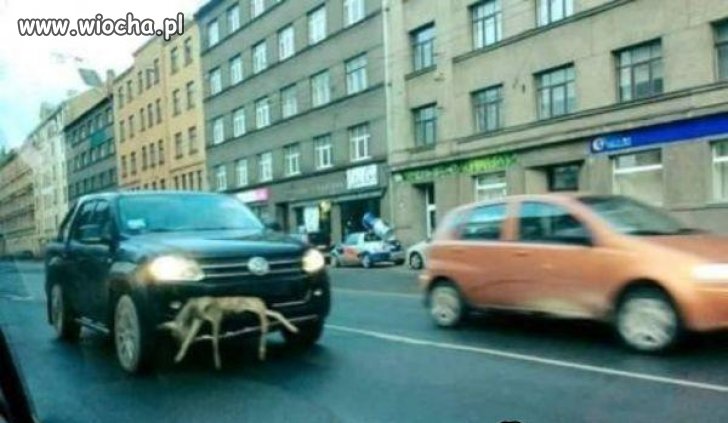Z moich ustaleń wynika, że musiał przejeżdżać
