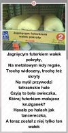 Taka tam twórczość 