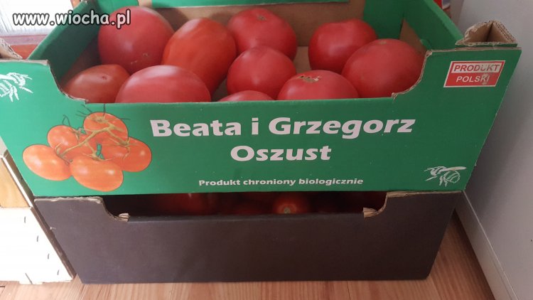 Wałek 