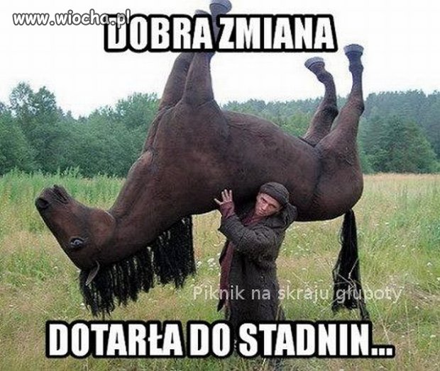 Zamiast koni beda atrapy