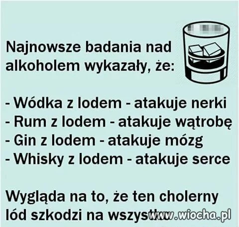 "Alkochol" jest super