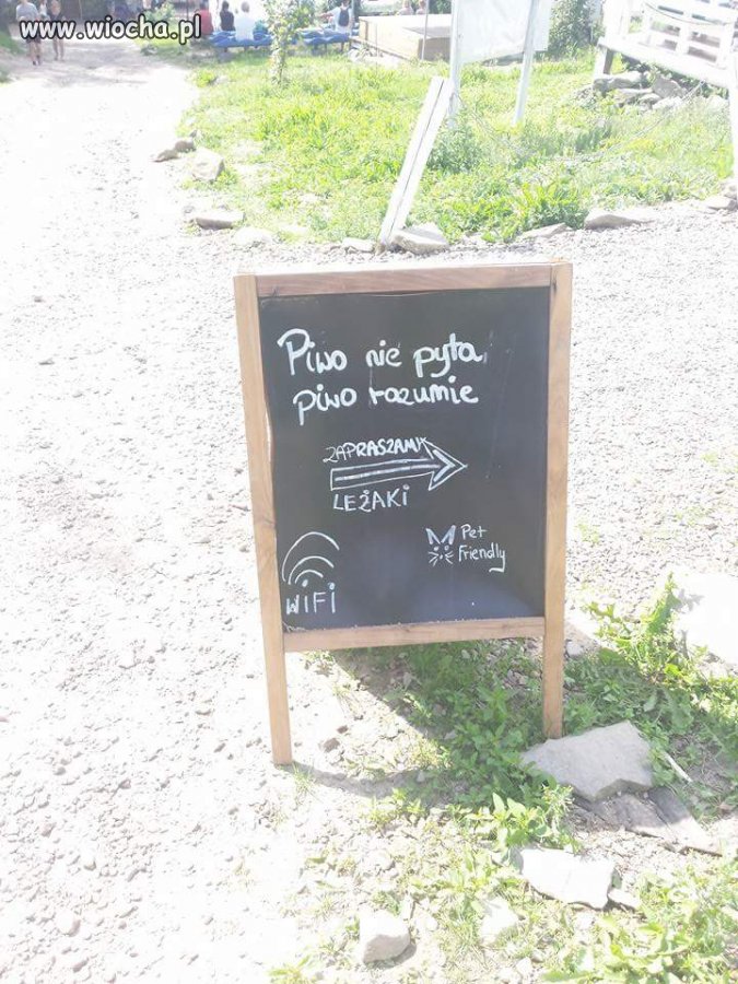 Piwo nie pyta