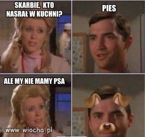Pies.
