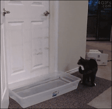Mission Impossible 