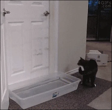 Mission Impossible 