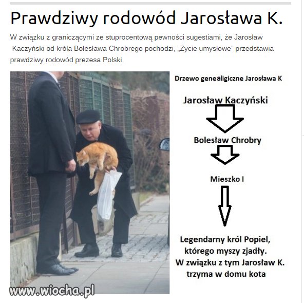 Nie wiem czy jeszcze przypadkiem