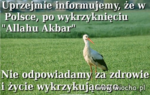 W przeciwieństwie do krajów zachodnich.