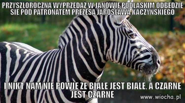 Jurgiel zapowiedział,że w przyszłym roku