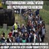 Zastanawiam się gdzie ankieterzy przeprowadzają