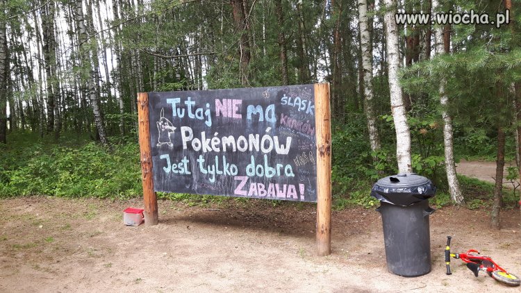 Jednak są jeszcze miejsca wolne od... 