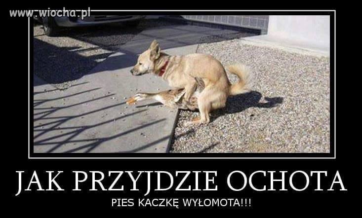 Co się nie zrobi, jak się zakocha