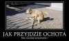 Co się nie zrobi, jak się zakocha