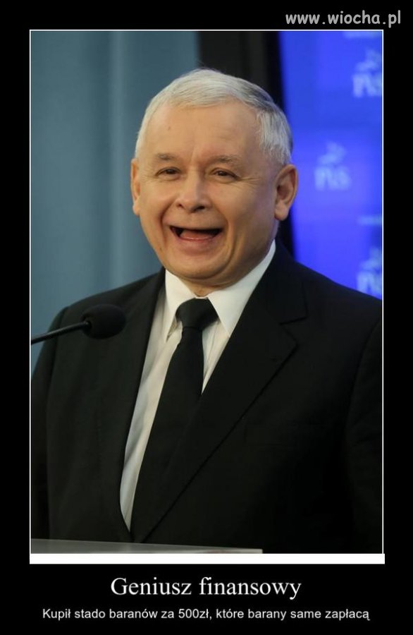 Gejusz finansowy