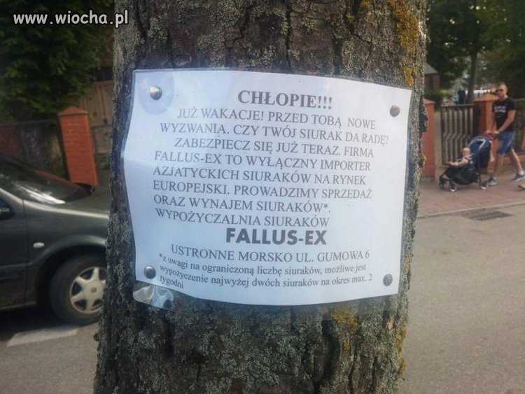 Azjatycki siurak... 