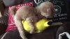 Pokemon Go
