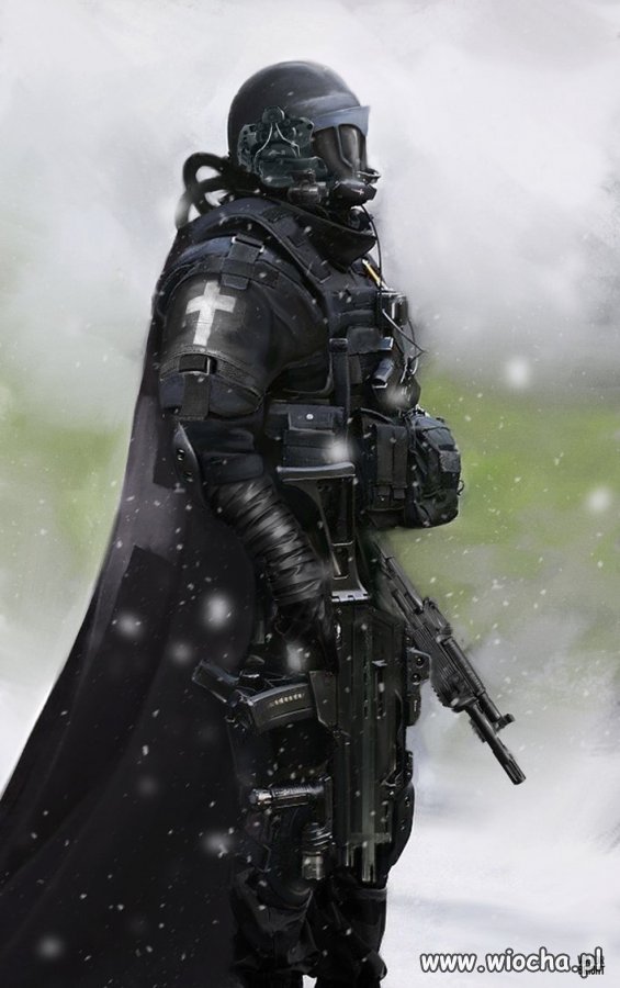 Żołnierz Polski 2044