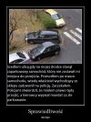 W imię zasad 