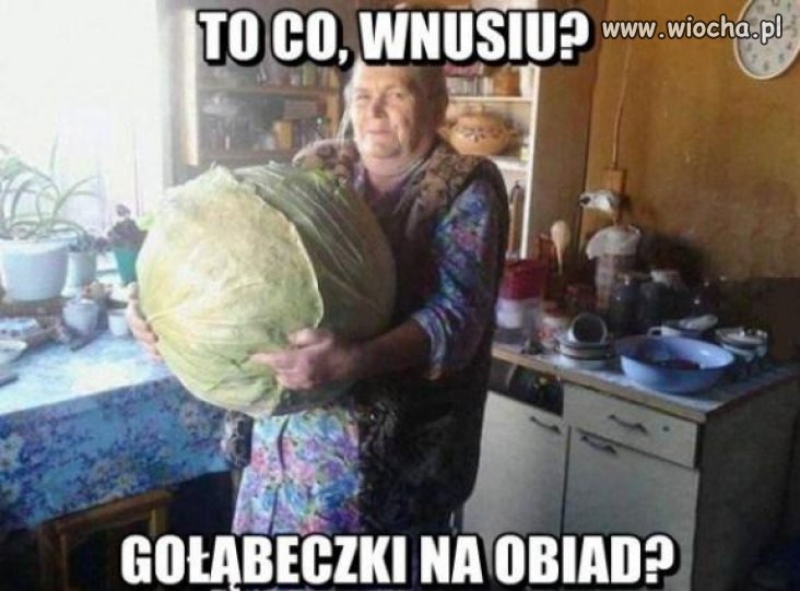 Dziś Gołąbki.