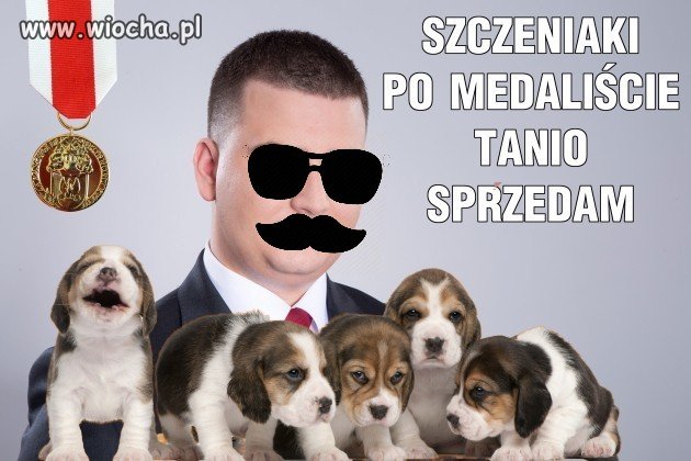 Oferta