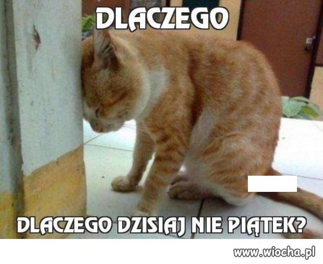 I tak drodzy będzie w poniedziałek ...