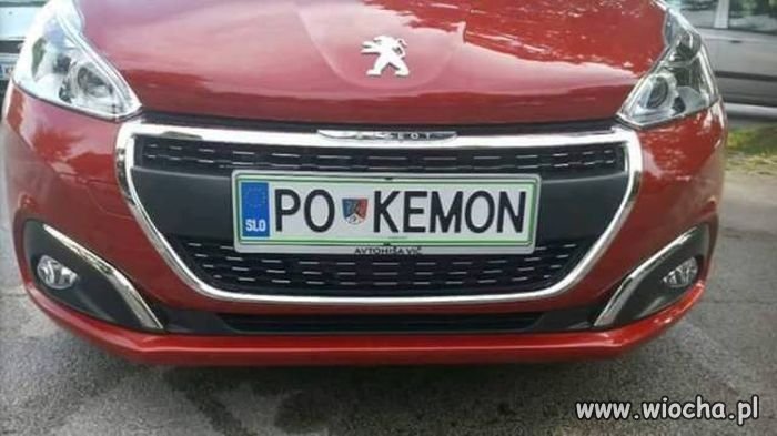 Fan pokemonów