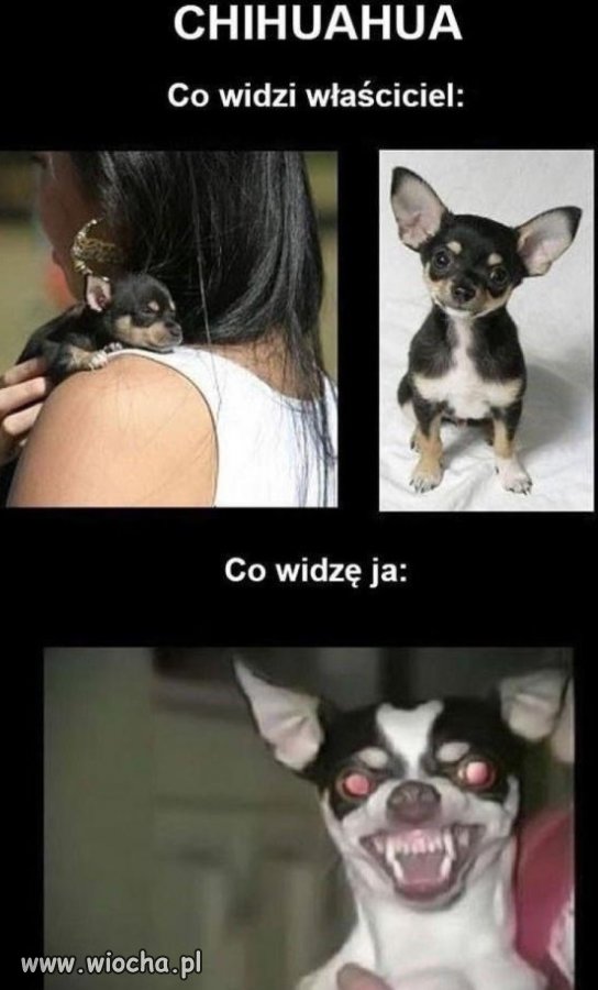 Idź precz, szatanie!