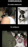 Idź precz, szatanie!