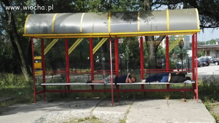 Goście weselni...