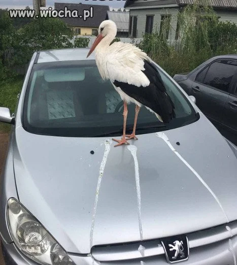 Ożeż ty!