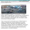 Calais 