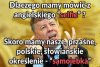 Pan Miodek poleca.
