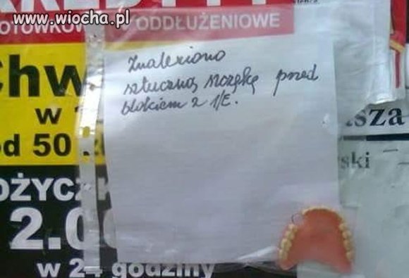 Znaleziono