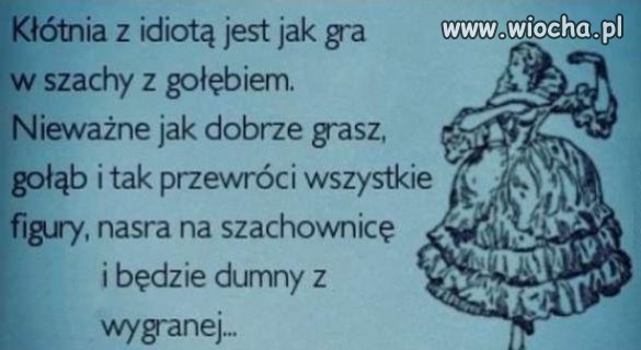 Kłótnia z idiotą