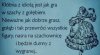 Kłótnia z idiotą