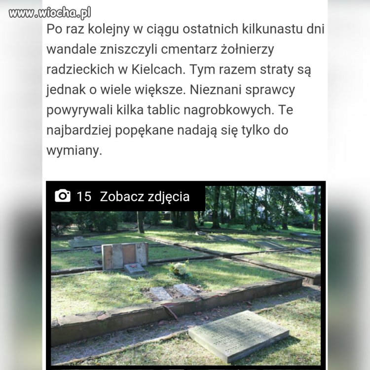 S*urwysyństwo najwyższy poziom.