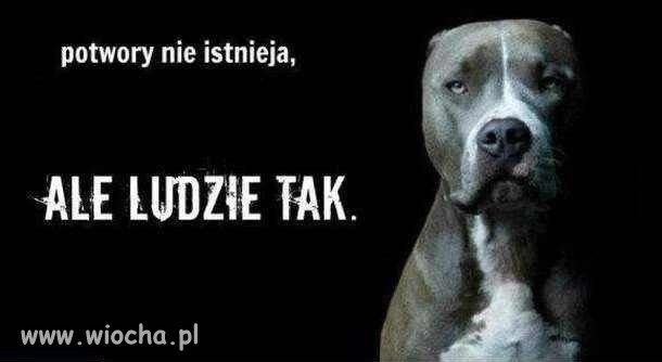 Potwory vs. Ludzie